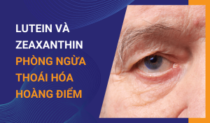Lợi ích của Lutein Và Zeaxanthin trong phòng ngừa thoái hóa hoàng điểm tuổi già