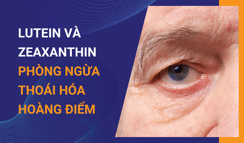 Lợi ích của Lutein Và Zeaxanthin trong phòng ngừa thoái hóa hoàng điểm tuổi già