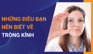Tròng Kính Và Những Điều Cần Biết Về Tròng Kính