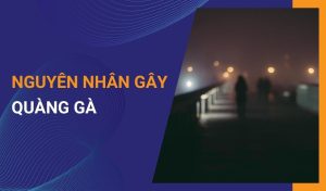 quáng gà là gì